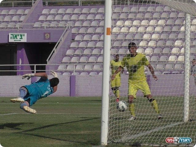 הכח משווה (שקד מורג)